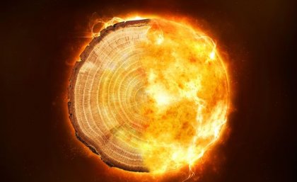 A photoshopped image of a tree ring on a dark background, with one half on fire.